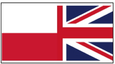 eng-pol flag_Layout 1